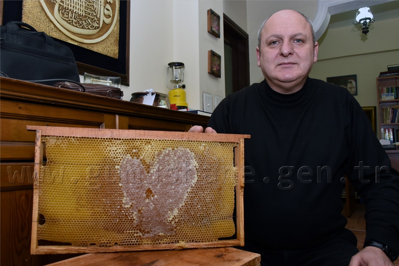 Gümüşhane’de Arılar Aşka Geldi 1