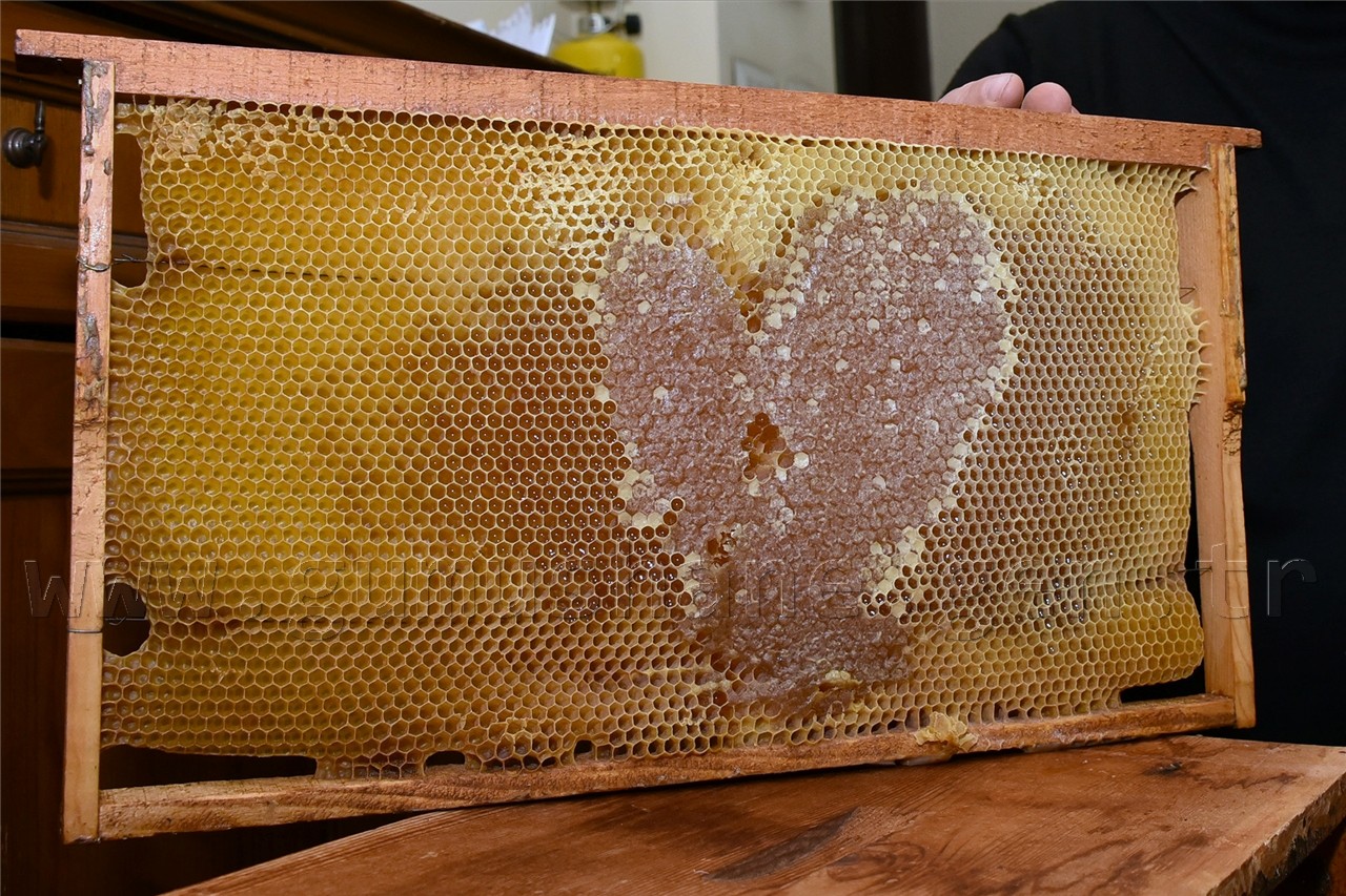 Gümüşhane’de Arılar Aşka Geldi 3