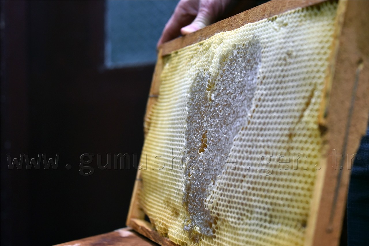 Gümüşhane’de Arılar Aşka Geldi 2