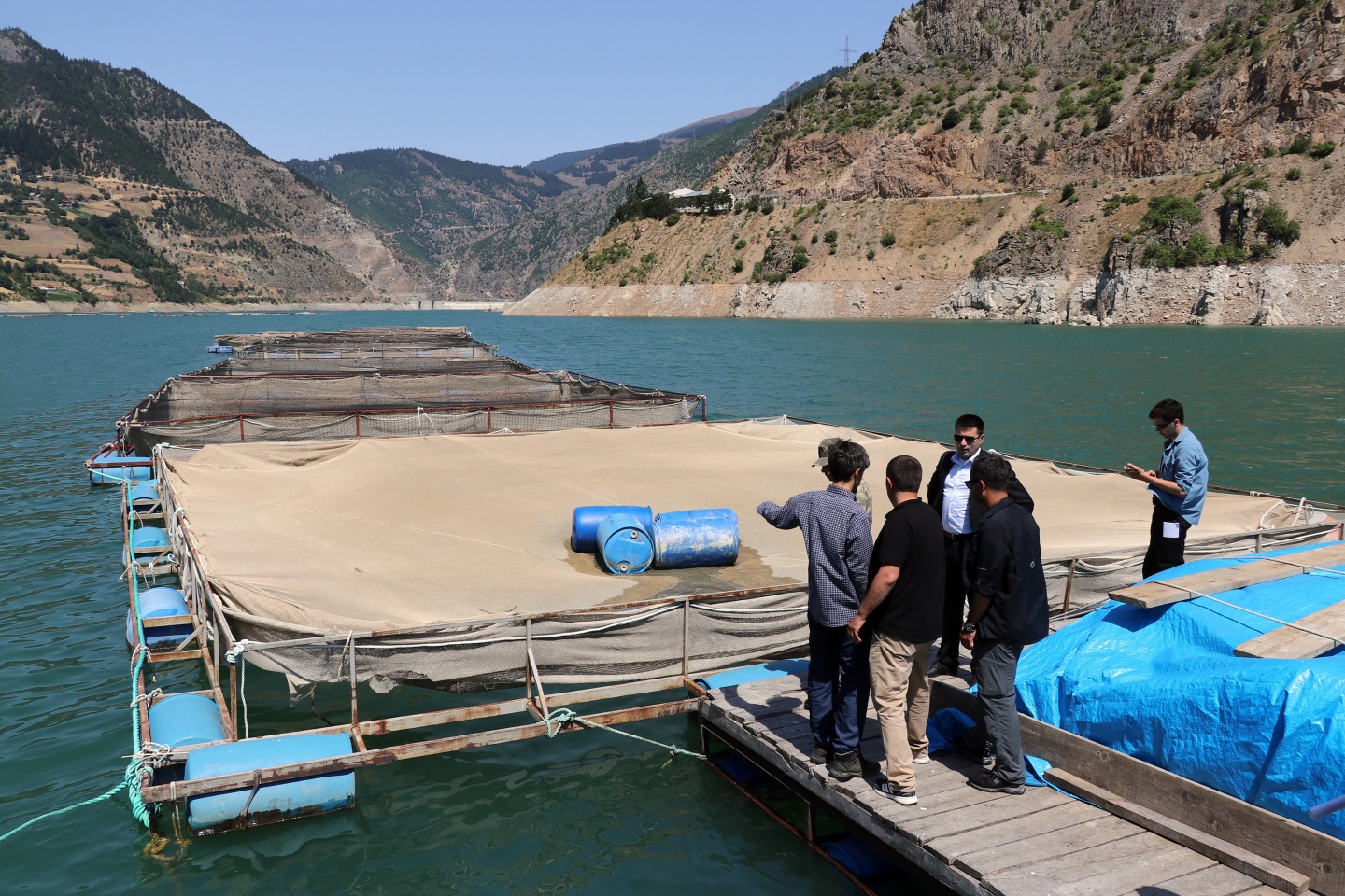 Torul barajında alabalık üretimi 8