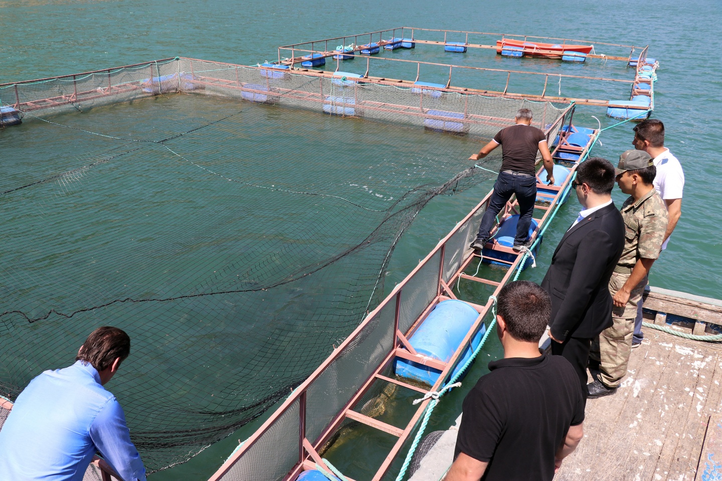 Torul barajında alabalık üretimi 9