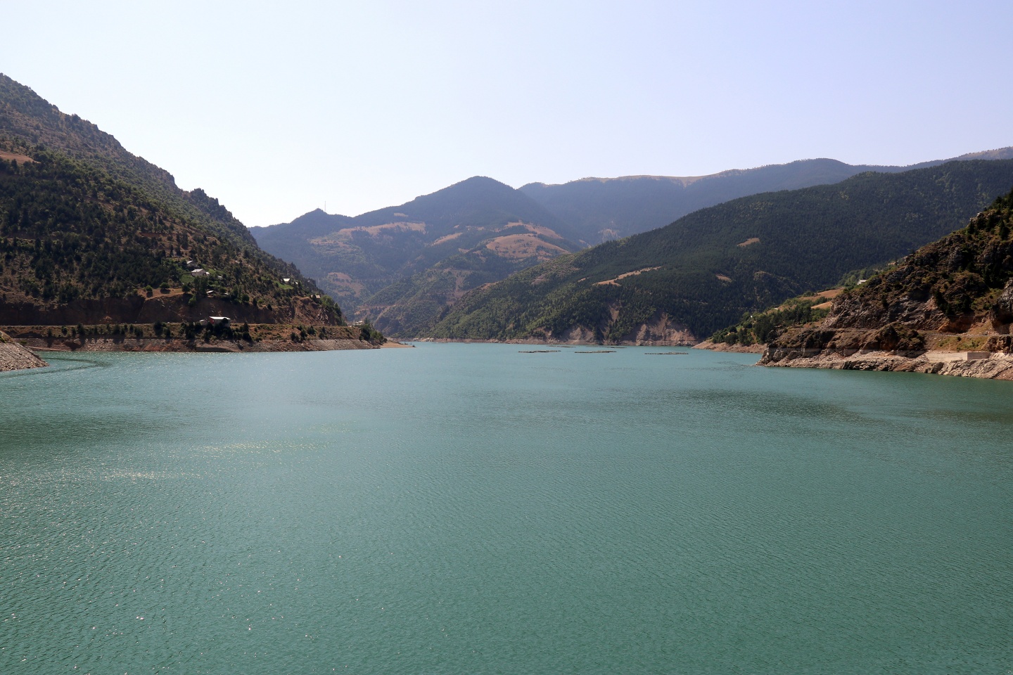 Torul barajında alabalık üretimi 1