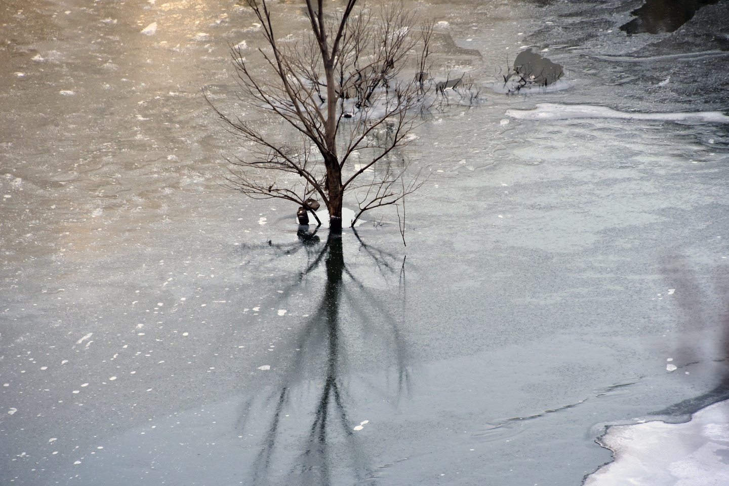 Türkiye’nin en hızlı akan çaylarından Harşit Çayı dondu 34