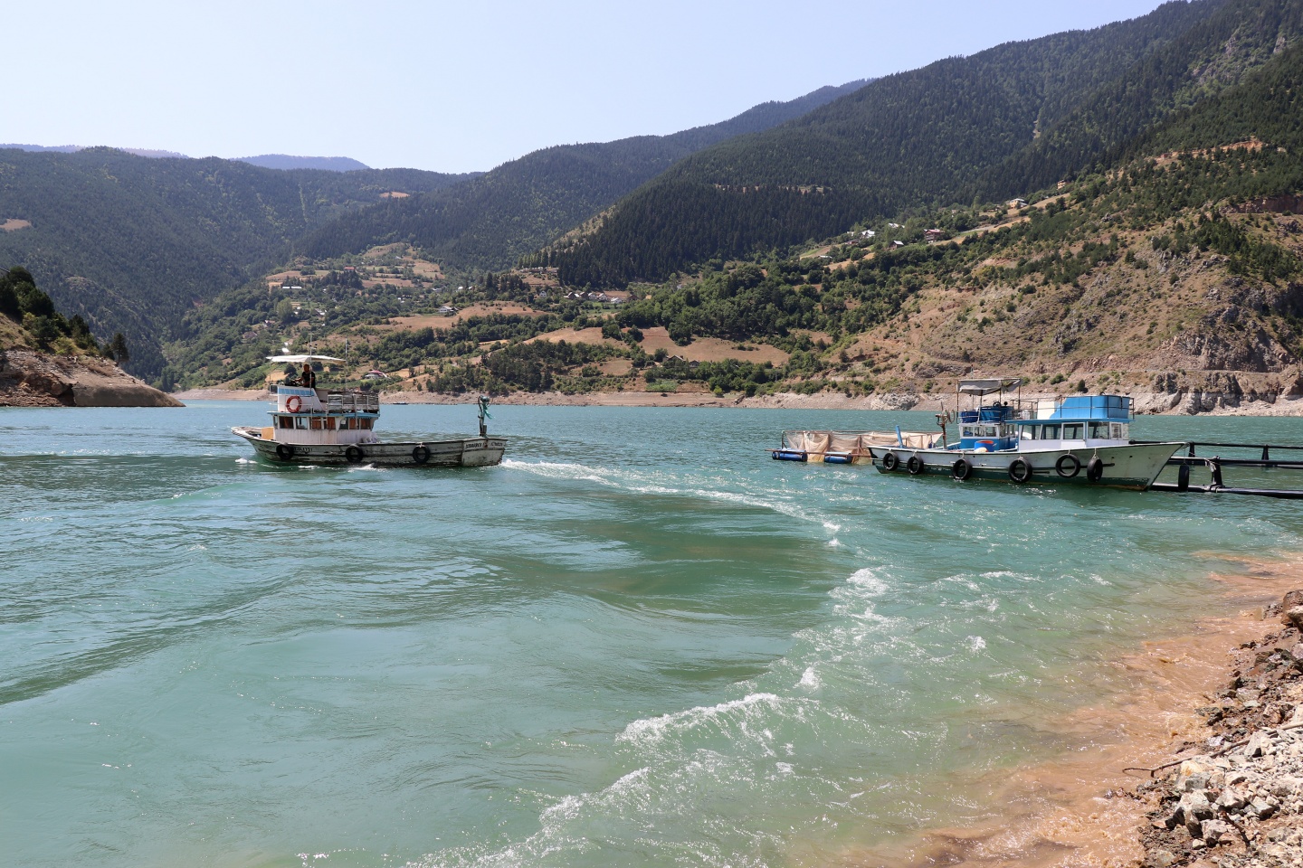 Torul barajında alabalık üretimi 2