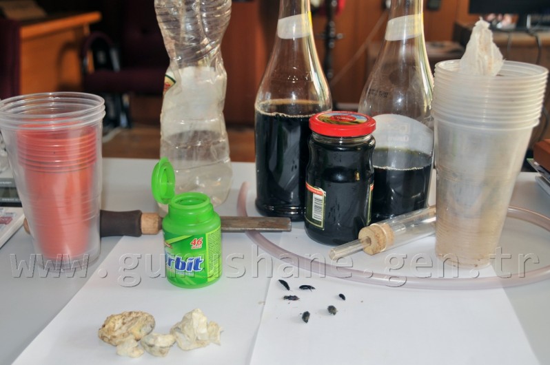 Gümüşhane'de Böcek Kaçakçılığı 3