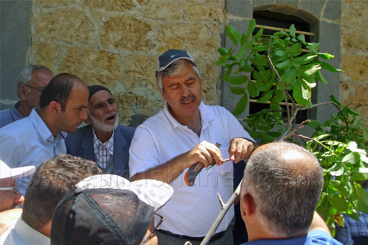 Yeşildere Köyünde Ceviz Kursu Verildi 1