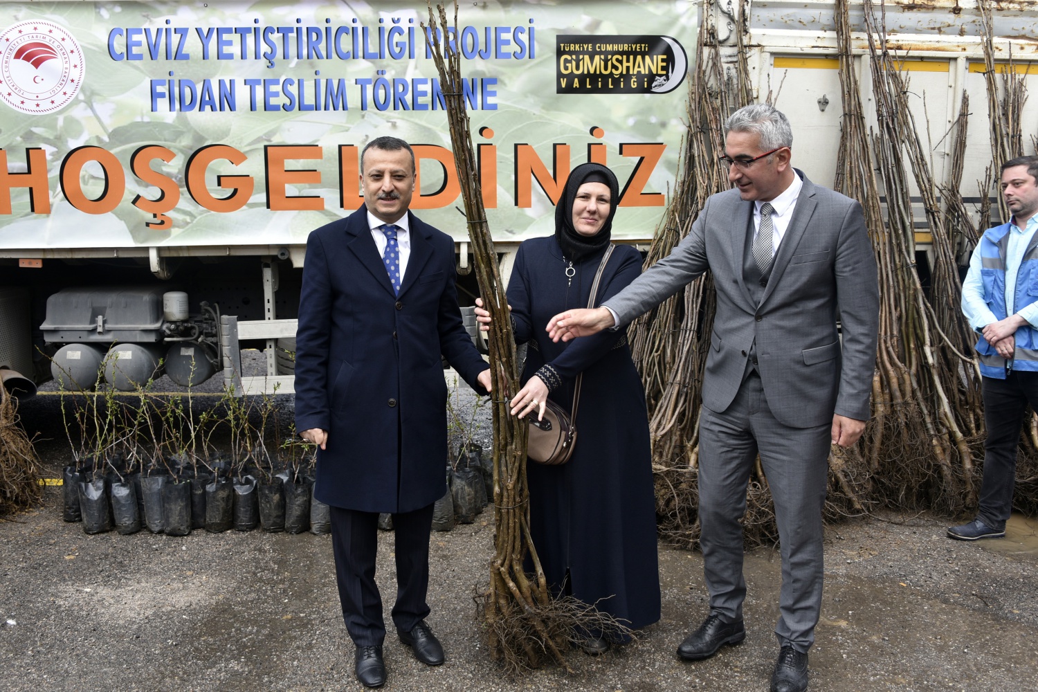 Gümüşhane’de üreticilere 36 bin adet ceviz fidanı daha dağıtıldı 5