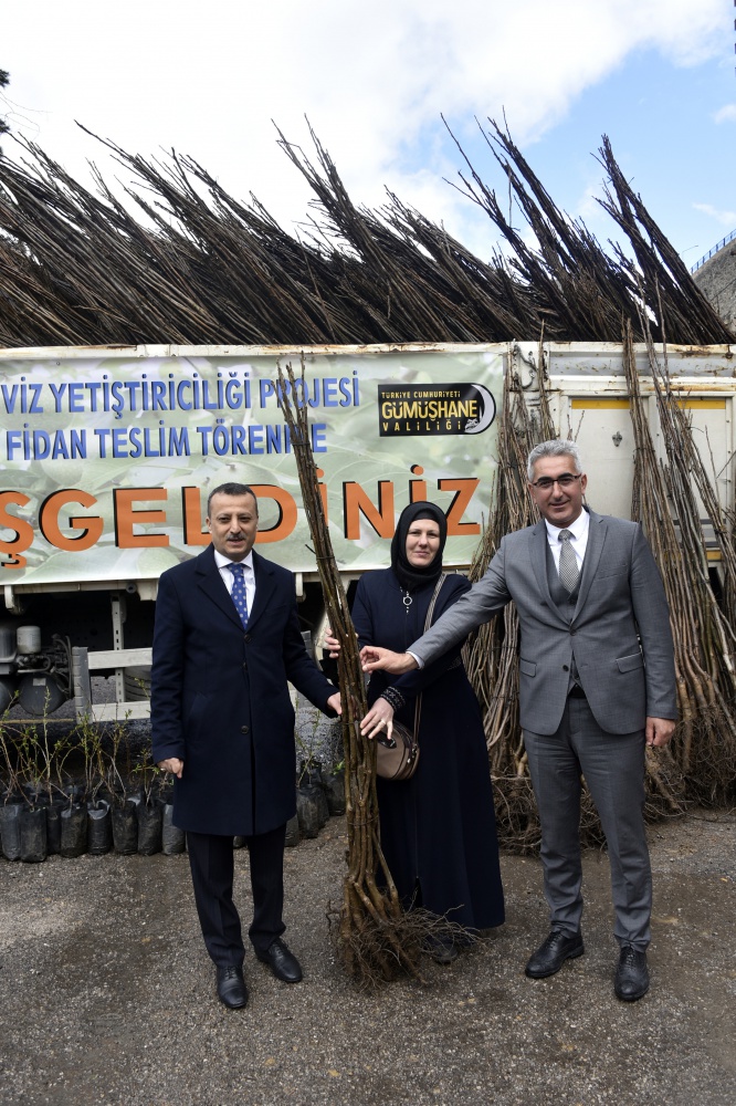 Gümüşhane’de üreticilere 36 bin adet ceviz fidanı daha dağıtıldı 8
