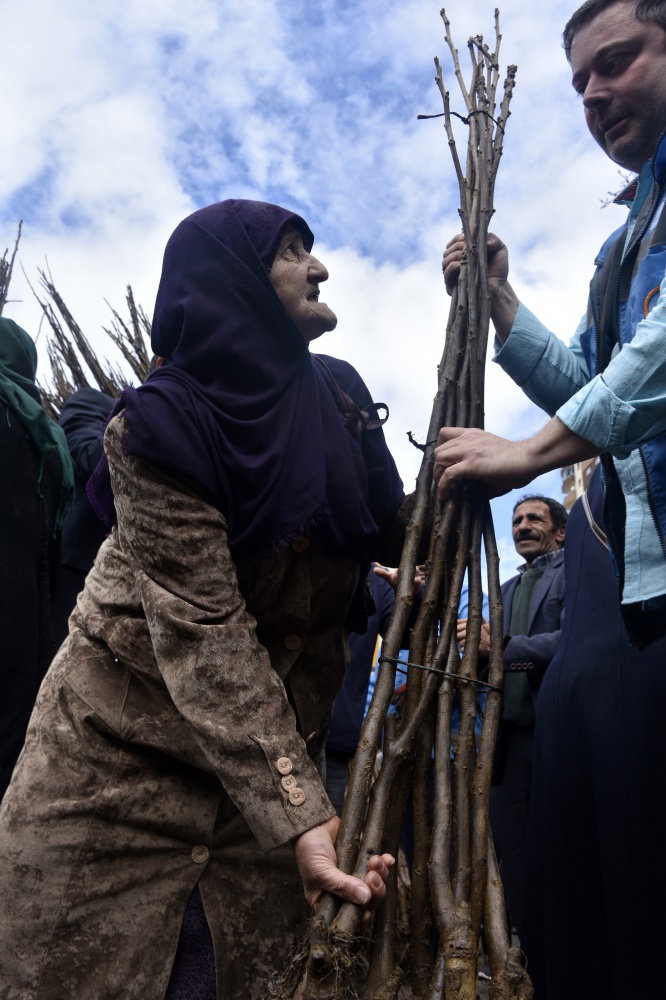 Gümüşhane’de üreticilere 36 bin adet ceviz fidanı daha dağıtıldı 3