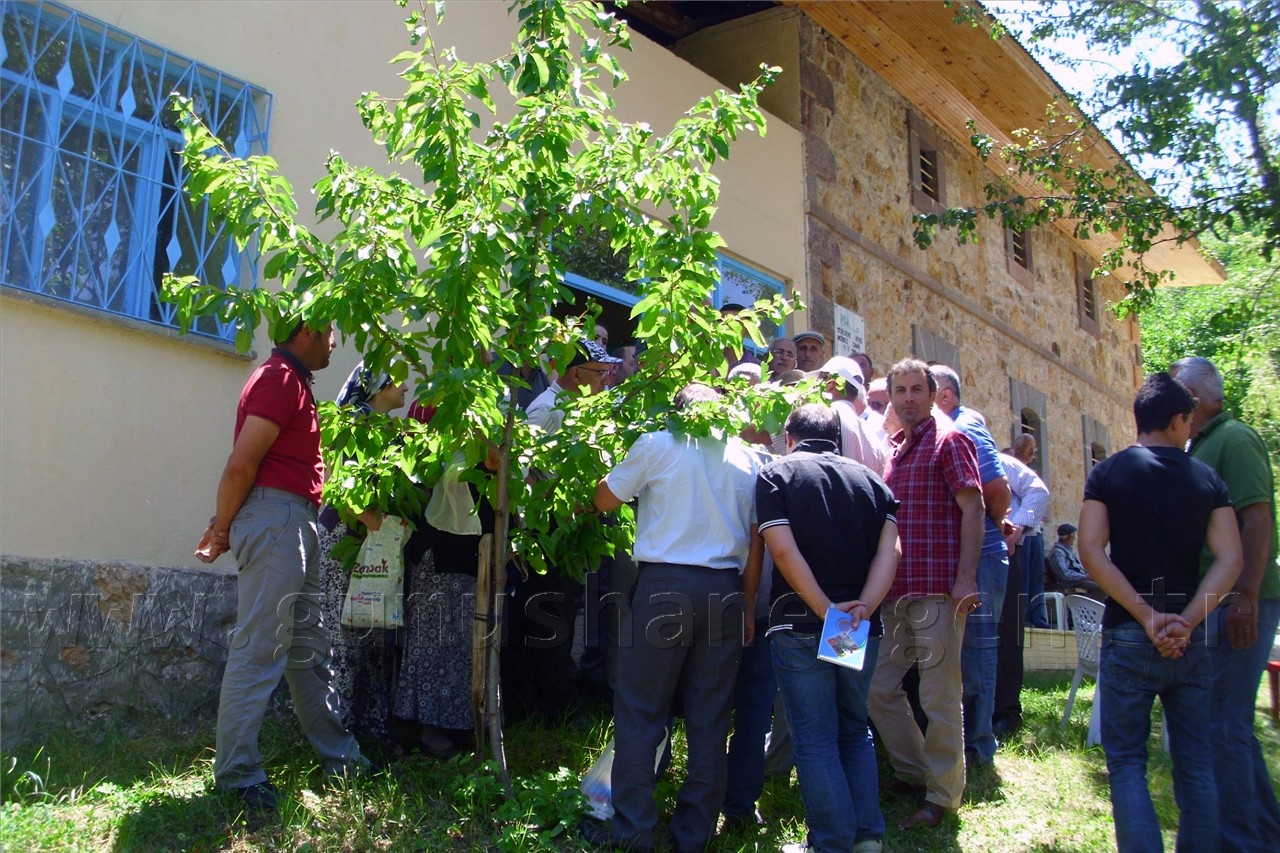Yeşildere Köyünde Ceviz Kursu Verildi 4