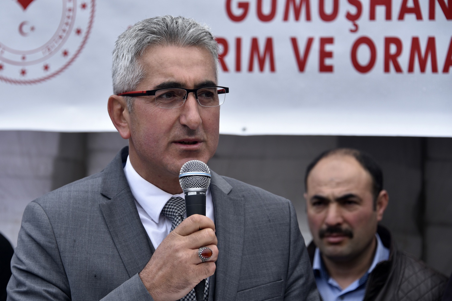 Gümüşhane’de üreticilere 36 bin adet ceviz fidanı daha dağıtıldı 4