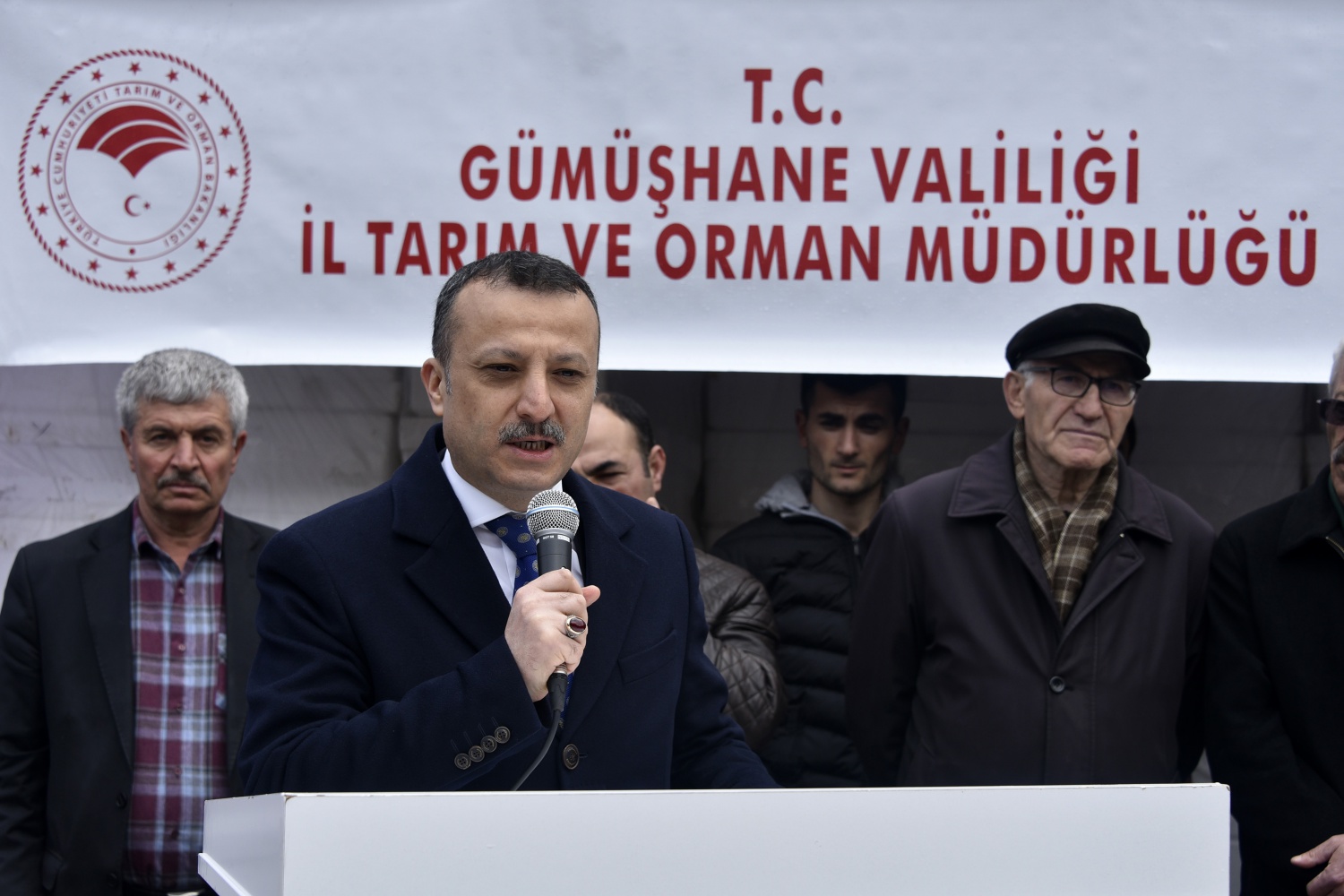 Gümüşhane’de üreticilere 36 bin adet ceviz fidanı daha dağıtıldı 1