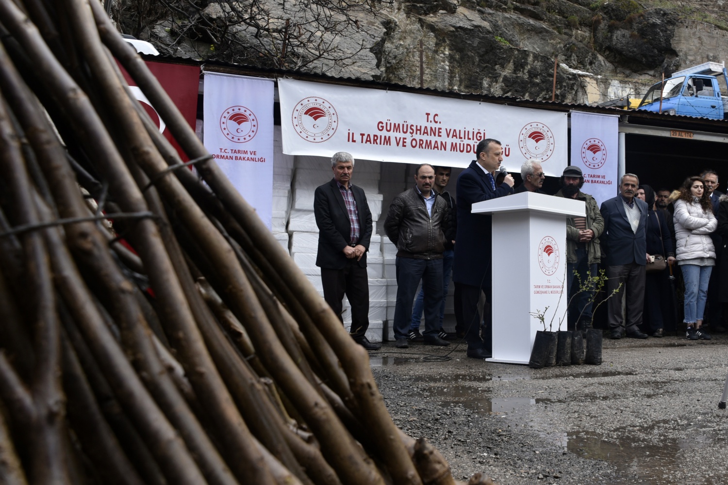 Gümüşhane’de üreticilere 36 bin adet ceviz fidanı daha dağıtıldı 10