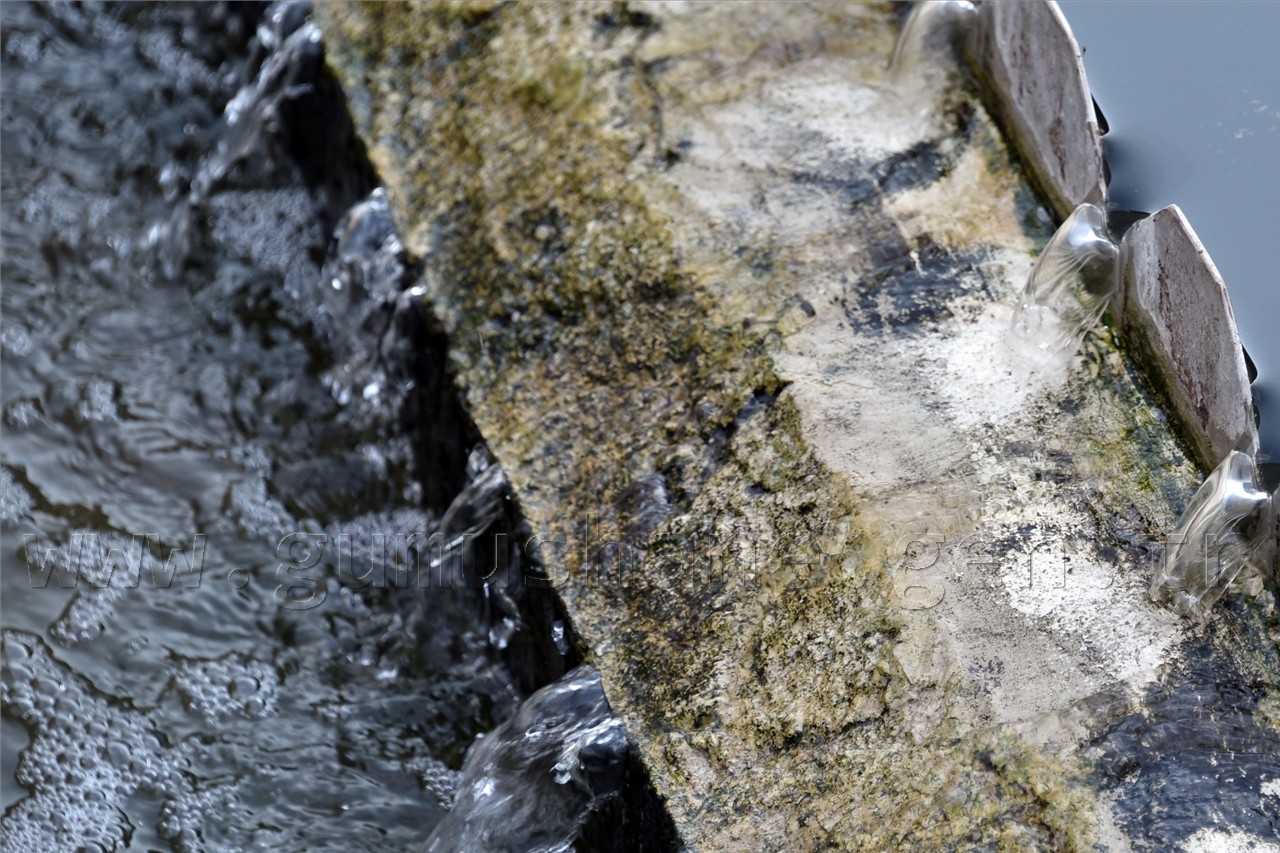 Gümüşhane Atık Su Arıtma Tesisi Törenle Açıldı 7