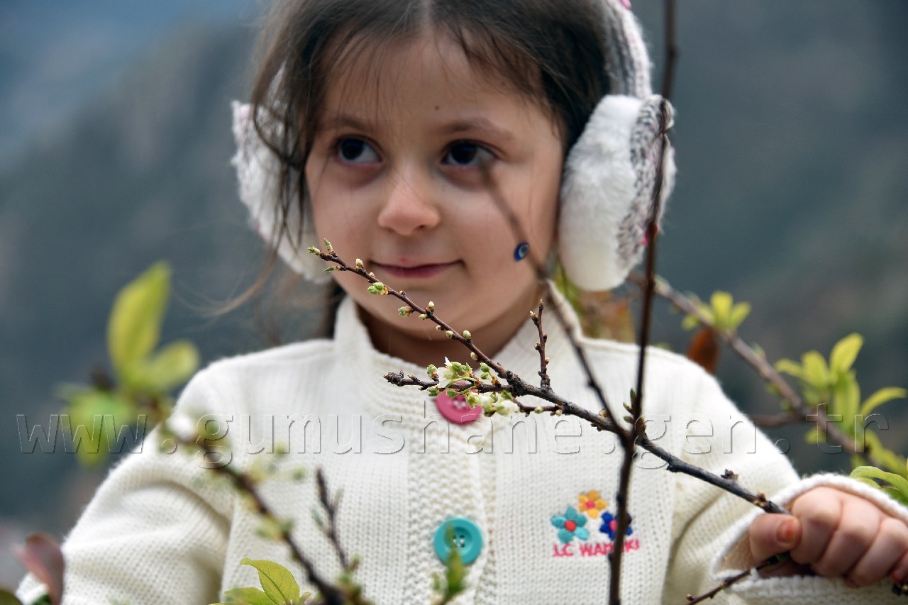 Gümüşhane'de karakışın ortasında ağaçlar çiçek açtı 1