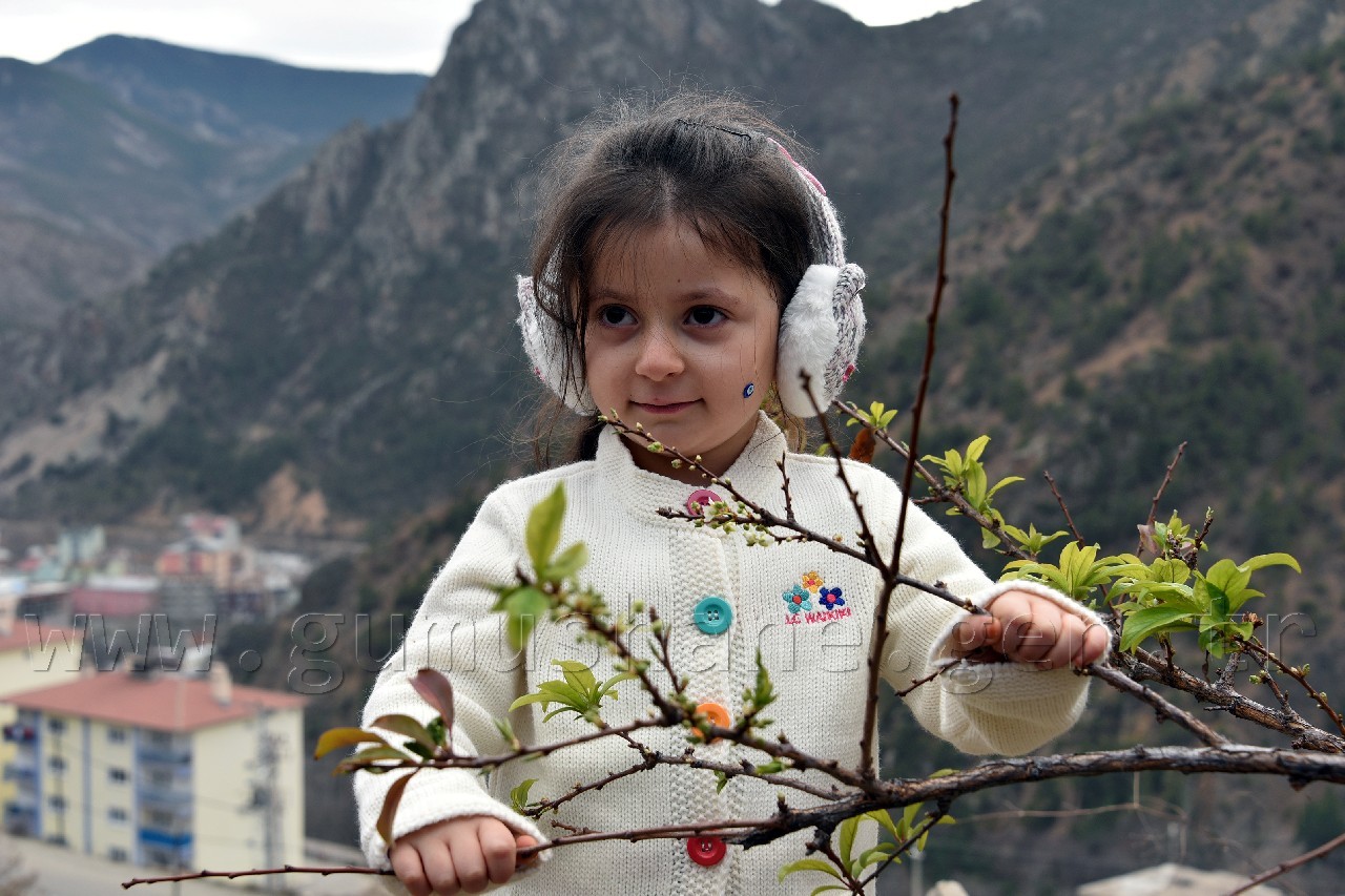 Gümüşhane'de karakışın ortasında ağaçlar çiçek açtı 8