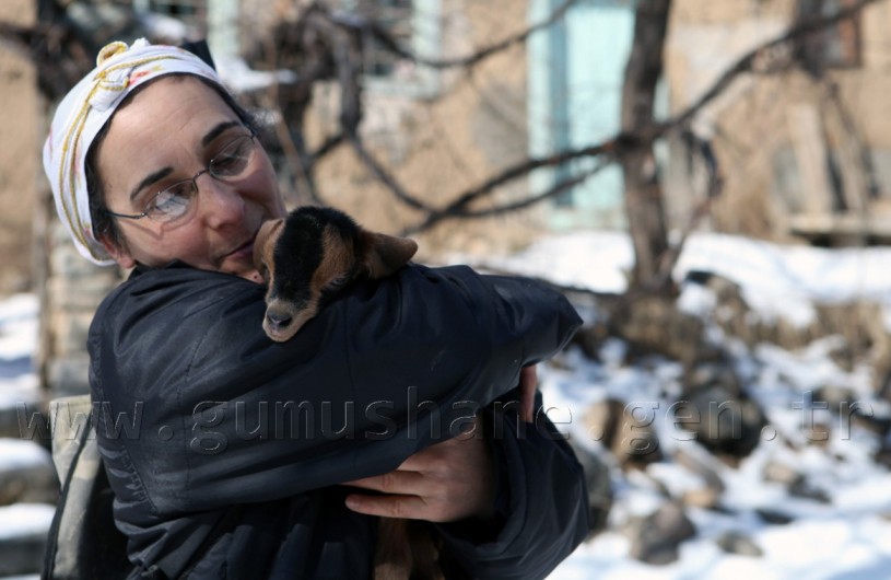 Hem Çocuklarına, Hem Kuzularına Annelik Yapıyor 4