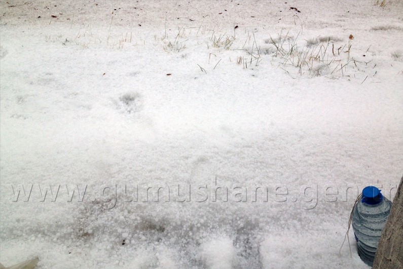 Yaz Günü Kışı Yaşadılar 5