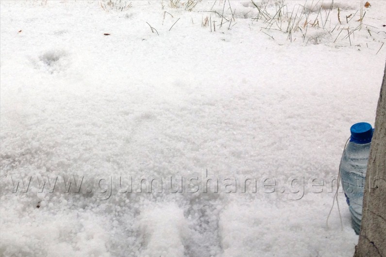 Yaz Günü Kışı Yaşadılar 4