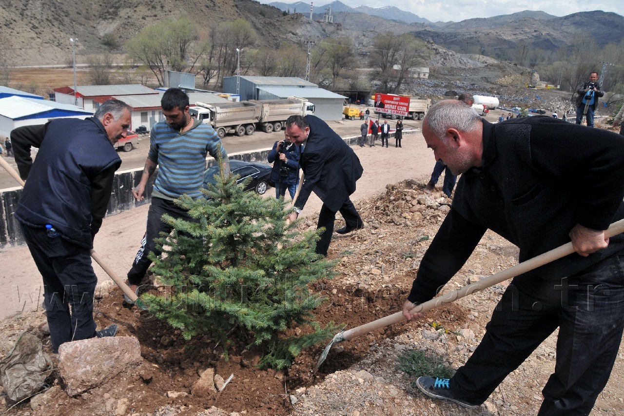 Şehit Cumhuriyet Savcısı Murat Uzun Adına Hatıra Ormanı 4