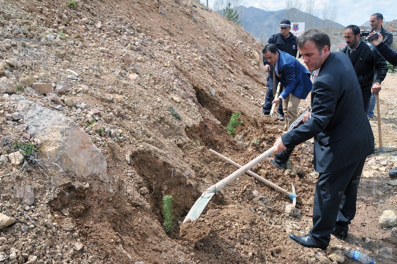 Şehit Cumhuriyet Savcısı Murat Uzun Adına Hatıra Ormanı 5