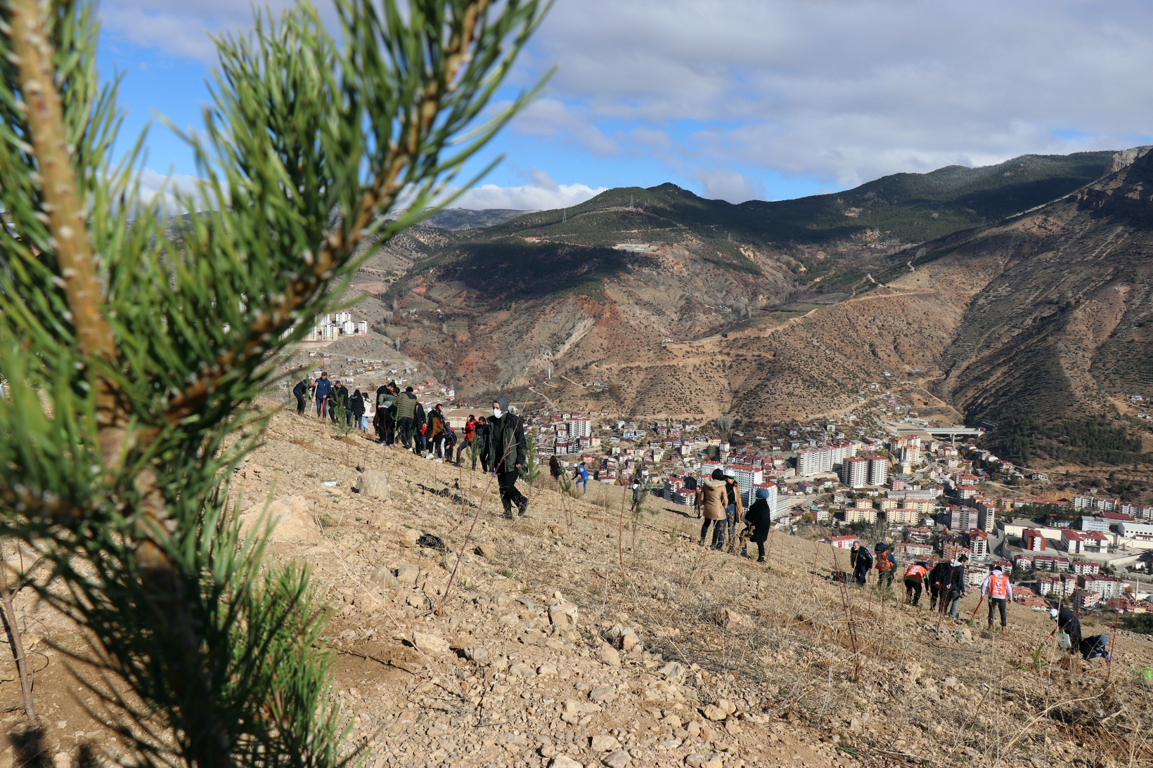 Gümüşhane’de Milli Ağaçlandırma Gününde binlerce fidan toprakla buluştu 27