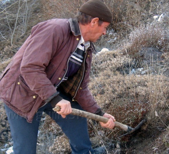 Önceden Yemdi Şimdi Yakacak Oldu 2