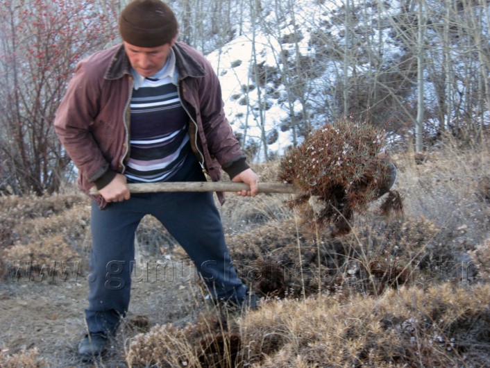 Önceden Yemdi Şimdi Yakacak Oldu 3
