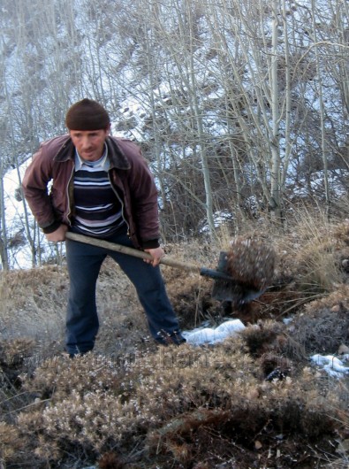 Önceden Yemdi Şimdi Yakacak Oldu 5