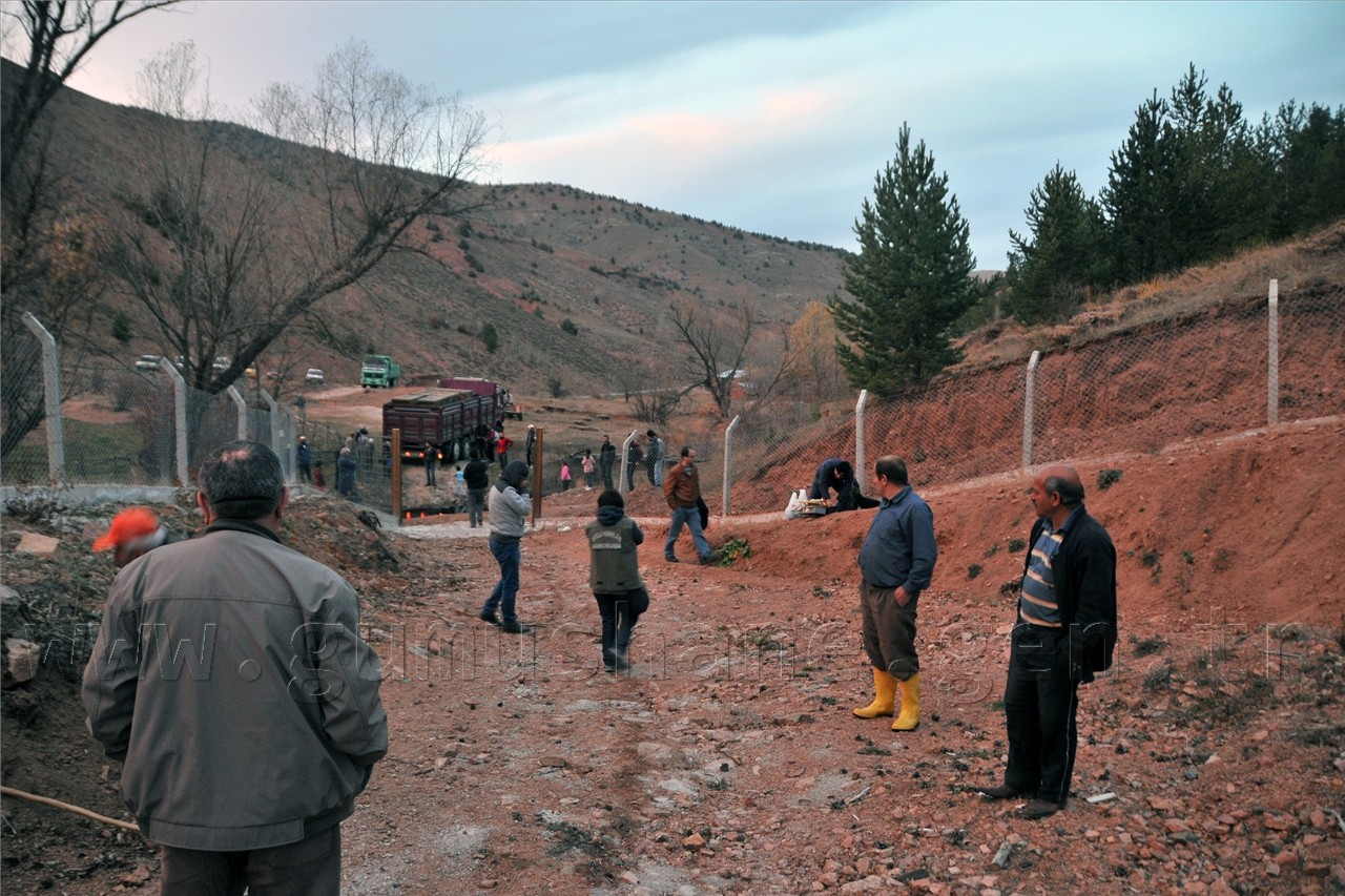  Kızıl Geyikler Gümüşhane'de  2