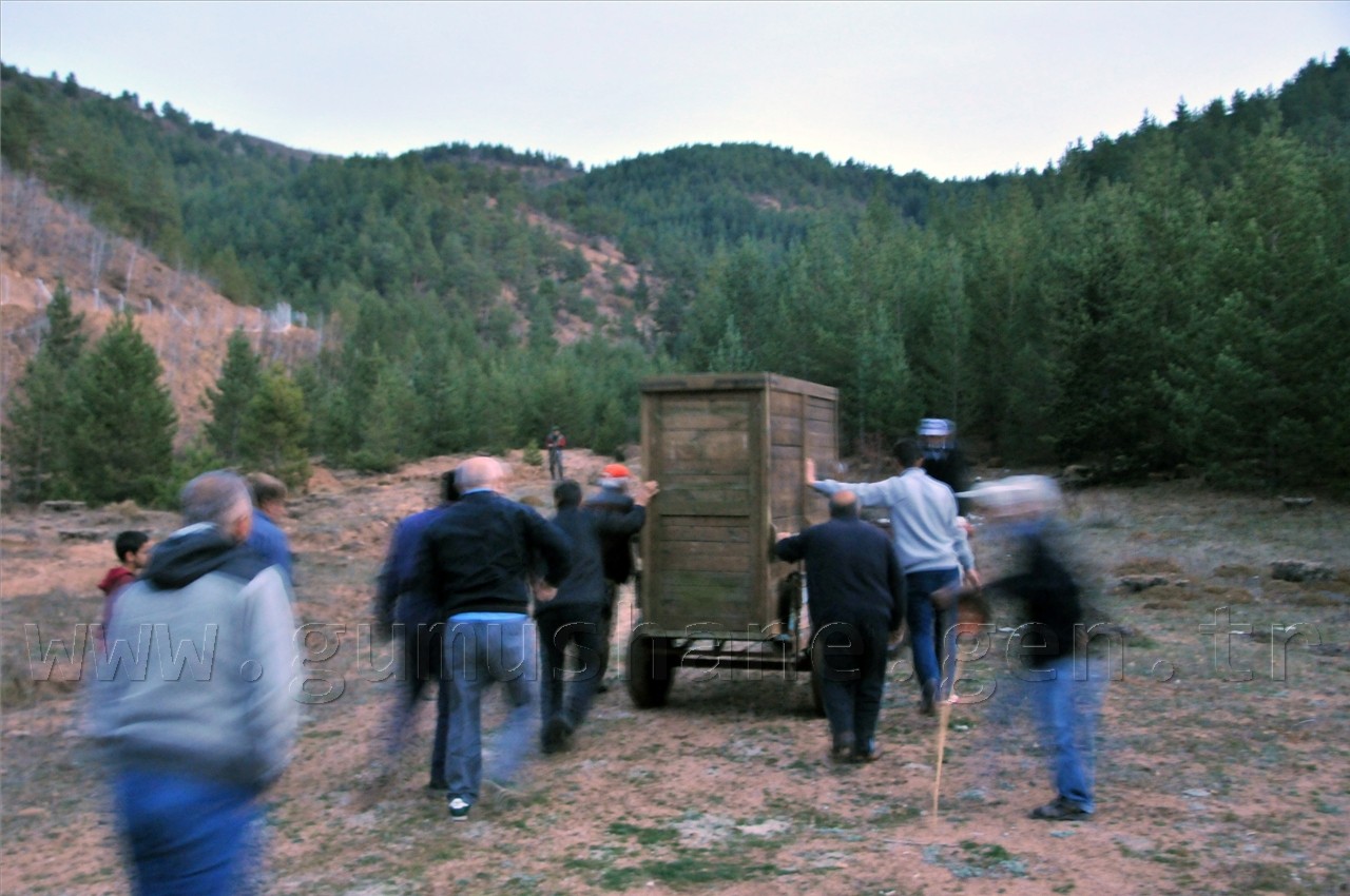  Kızıl Geyikler Gümüşhane'de  7
