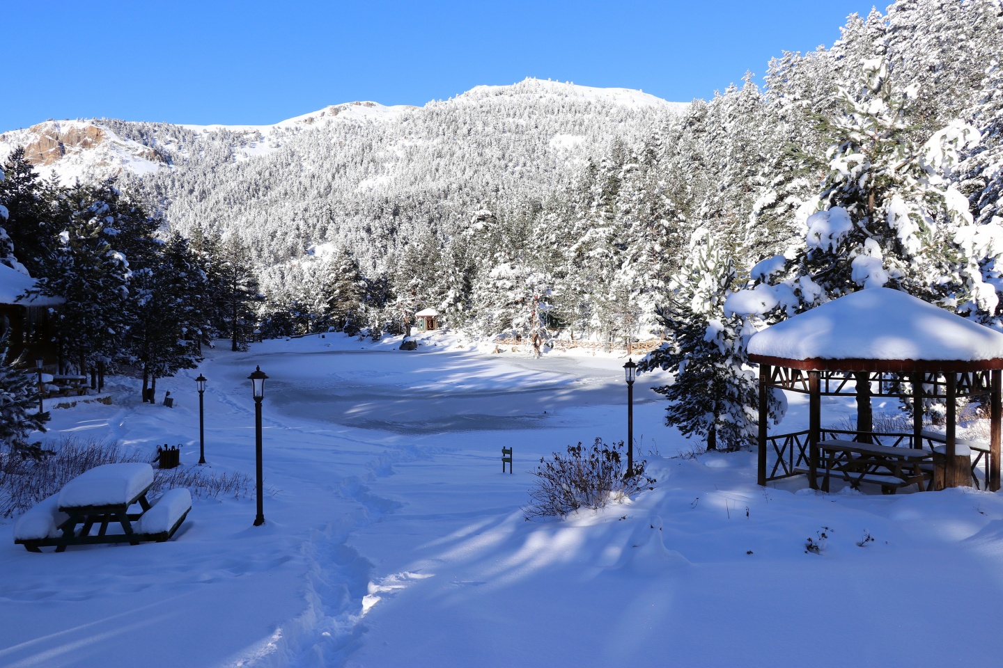 Limni Gölü Tabiat Parkı yazın güzel, kışın başka güzel 3