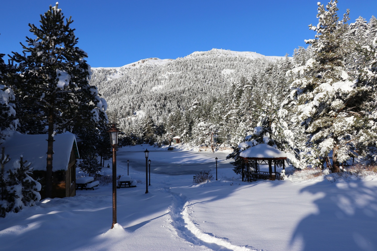 Limni Gölü Tabiat Parkı yazın güzel, kışın başka güzel 6