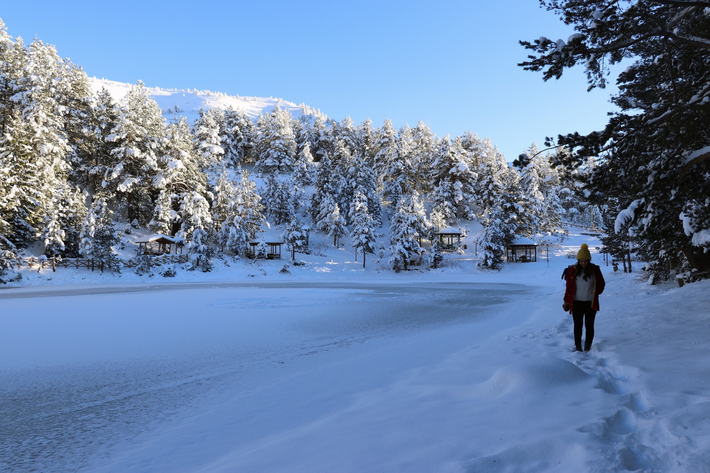 Limni Gölü Tabiat Parkı yazın güzel, kışın başka güzel 9