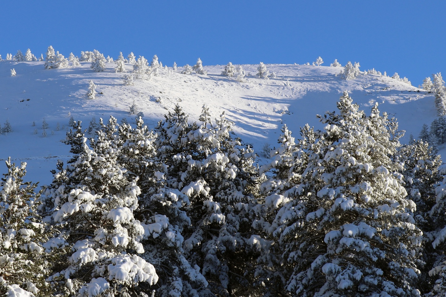 Limni Gölü Tabiat Parkı yazın güzel, kışın başka güzel 11
