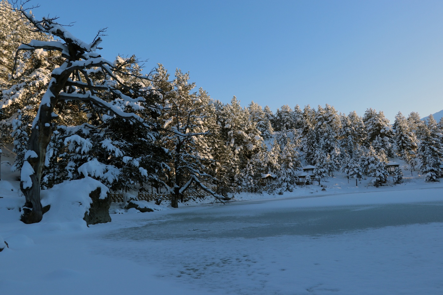 Limni Gölü Tabiat Parkı yazın güzel, kışın başka güzel 10