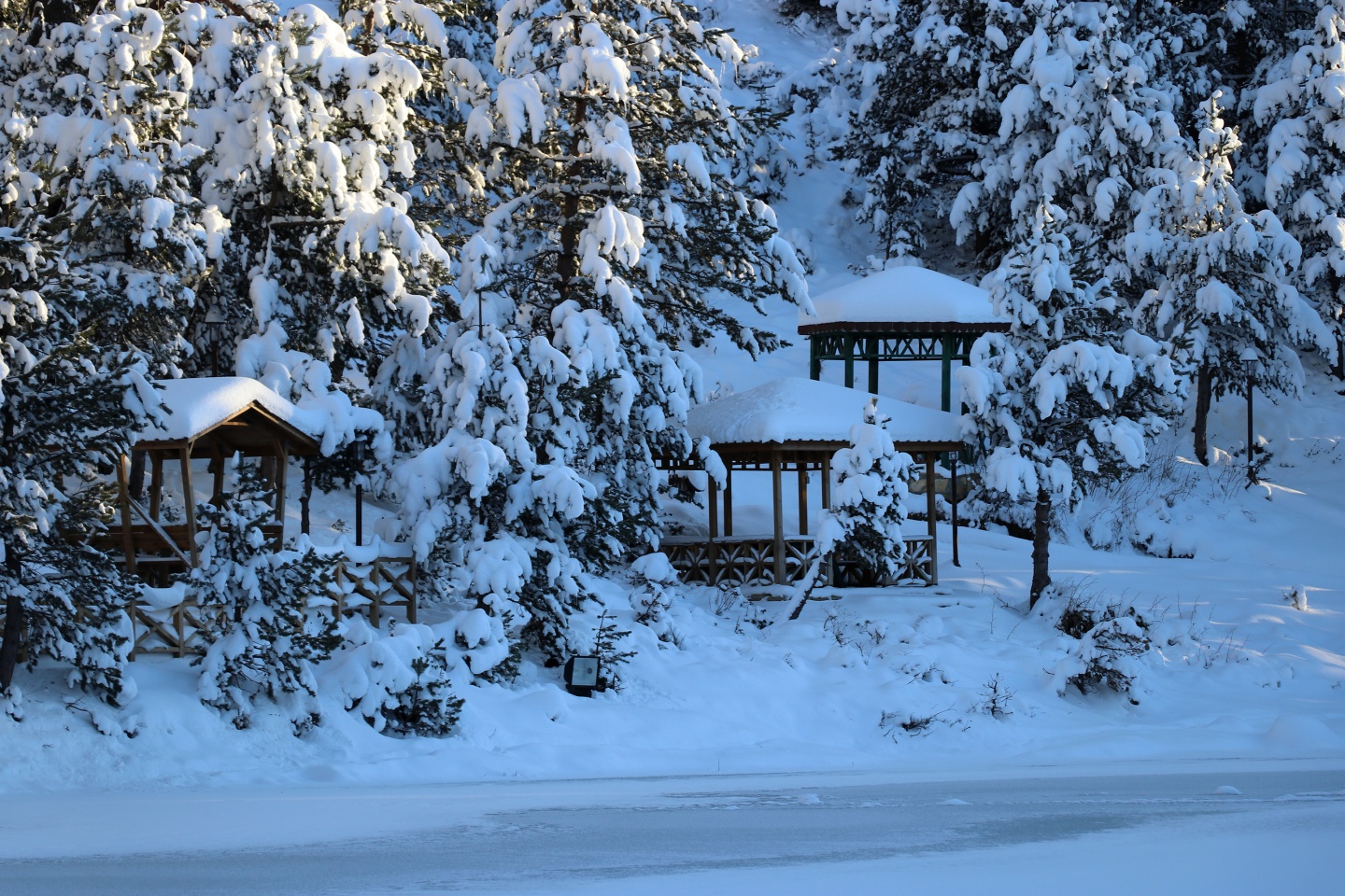 Limni Gölü Tabiat Parkı yazın güzel, kışın başka güzel 12