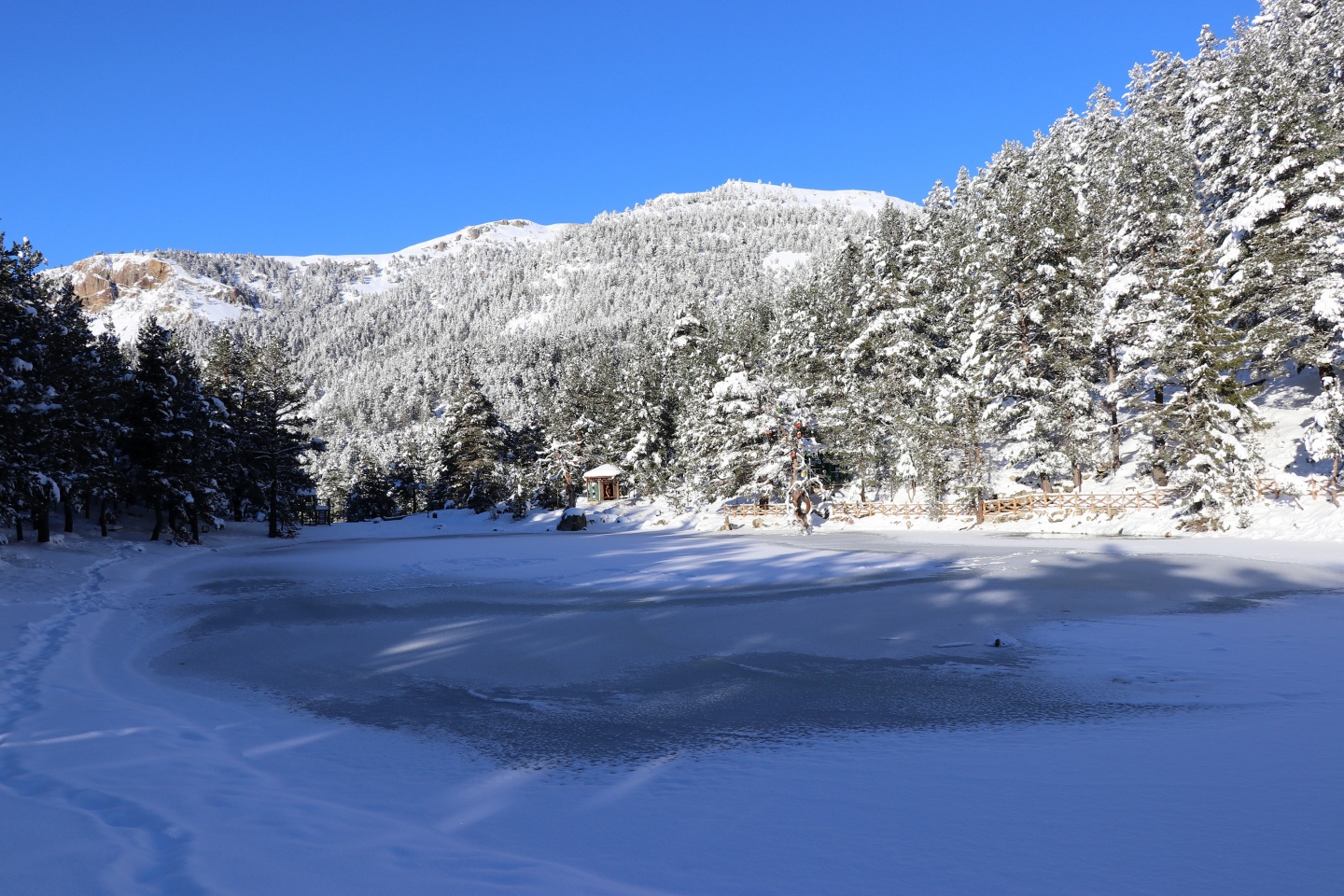 Limni Gölü Tabiat Parkı yazın güzel, kışın başka güzel 4