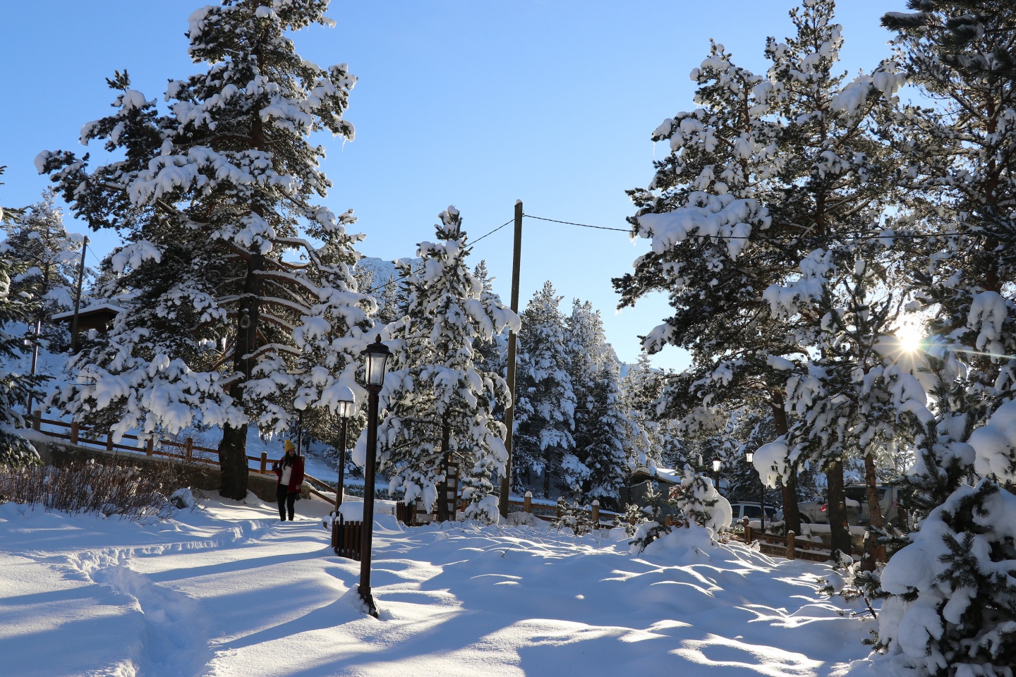 Limni Gölü Tabiat Parkı yazın güzel, kışın başka güzel 5