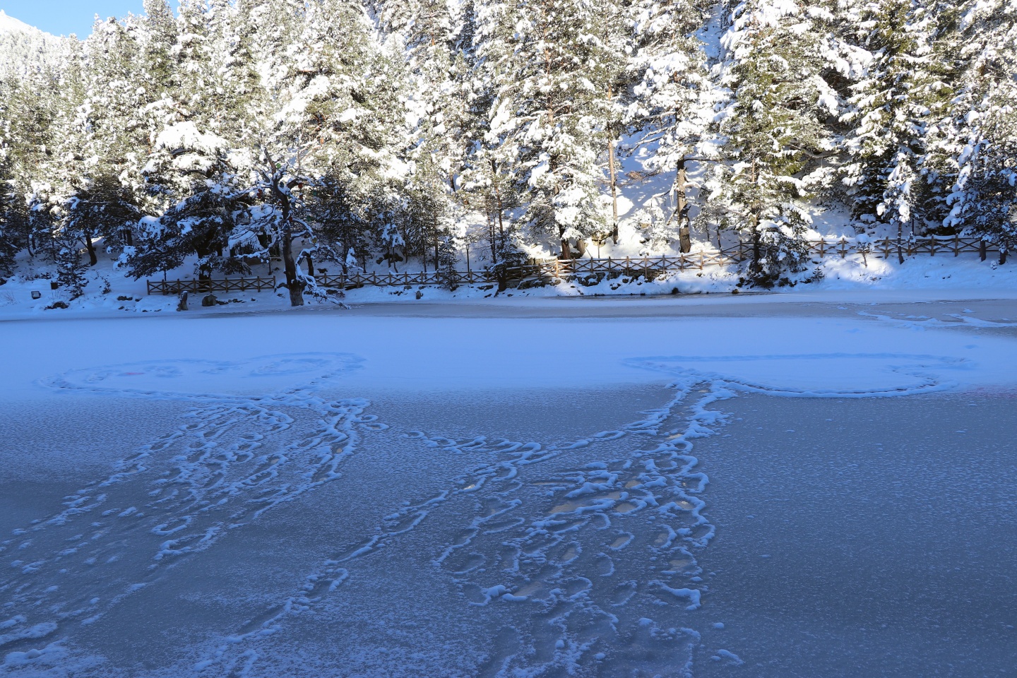 Limni Gölü Tabiat Parkı yazın güzel, kışın başka güzel 7