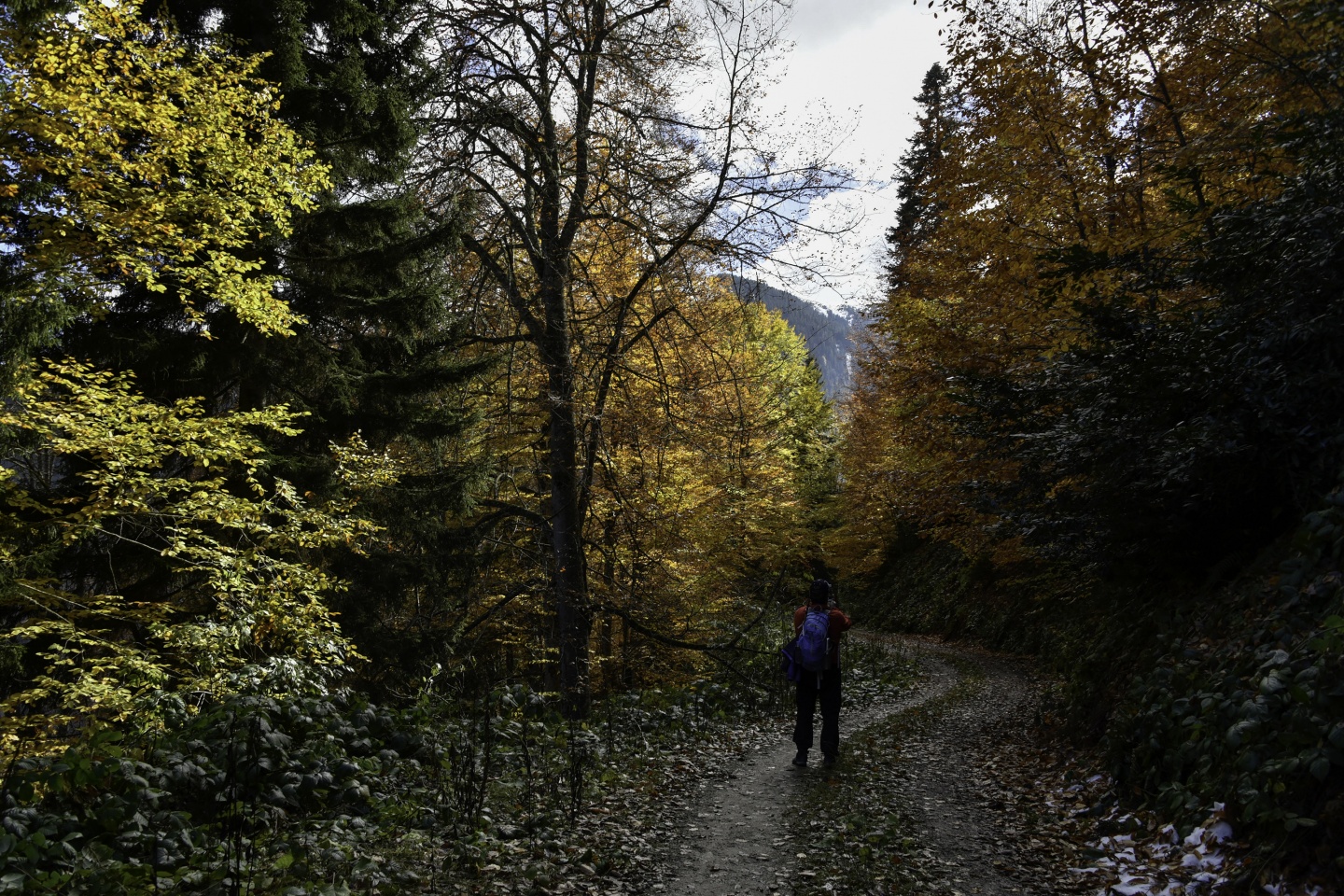 Gümüşhaneli dağcılardan en güzel sonbahar yürüyüşü 42