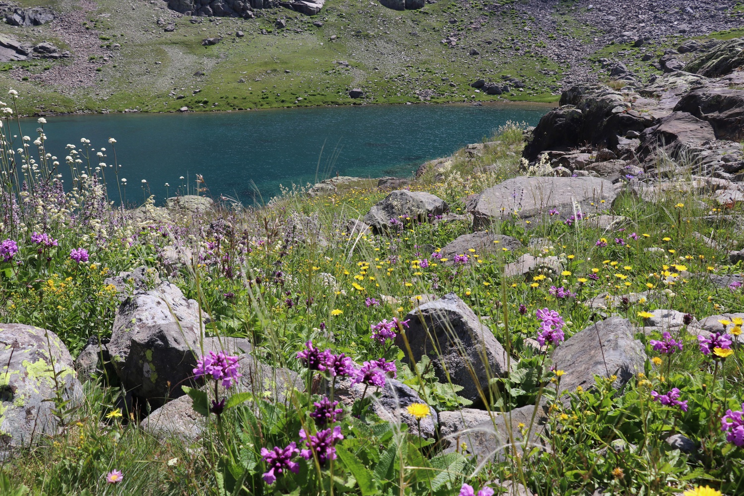Yüksek zirvelerin cenneti: Artabel Gölleri Tabiat Parkı 59