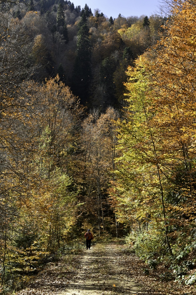 Gümüşhaneli dağcılardan en güzel sonbahar yürüyüşü 74
