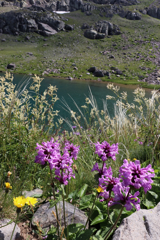 Yüksek zirvelerin cenneti: Artabel Gölleri Tabiat Parkı 11