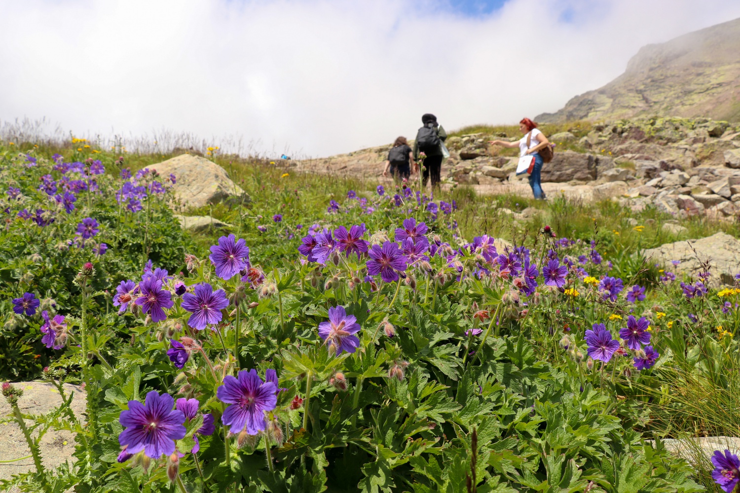 Yüksek zirvelerin cenneti: Artabel Gölleri Tabiat Parkı 40