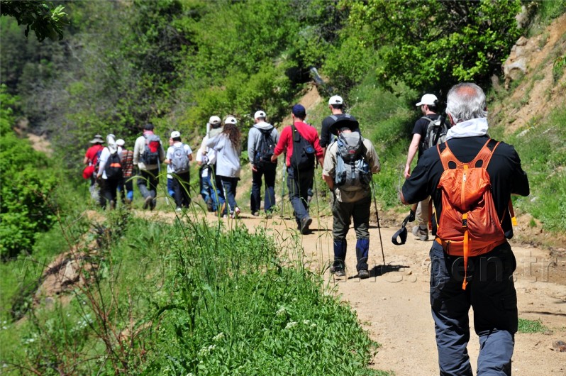 Gümüşhaneli Dağcılar 'Koşabiliyorken Koş' Projesi İçin Yürüdü 1