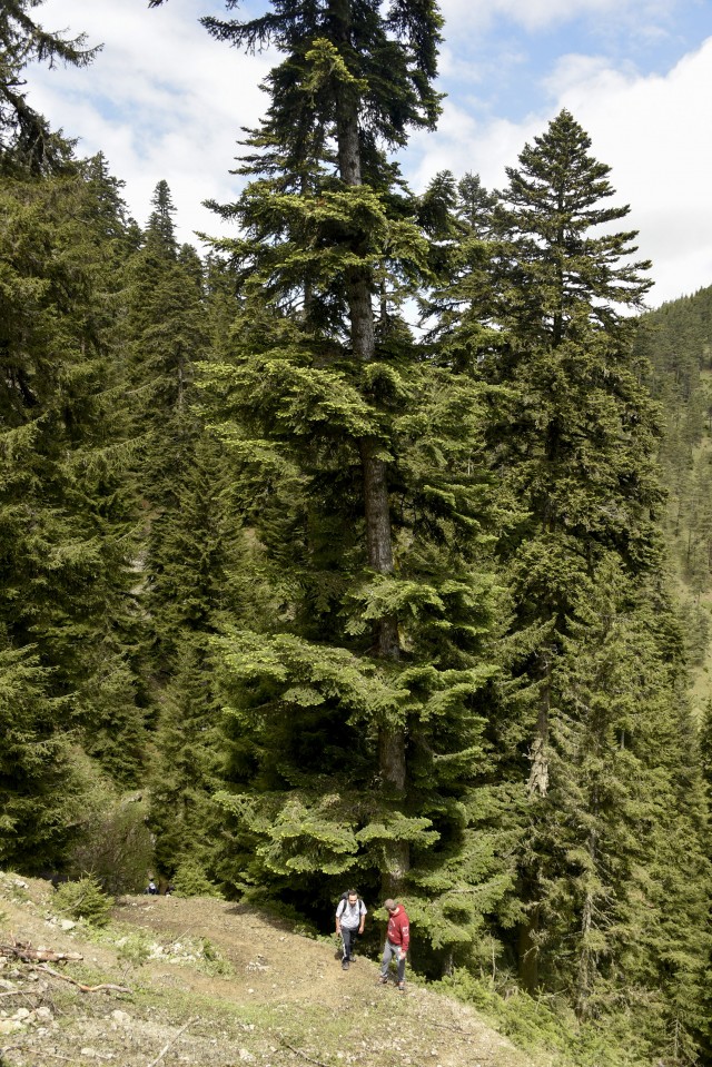 Gümüşhaneli dağcılar aynı günde 4 yaylayı gezdi 3