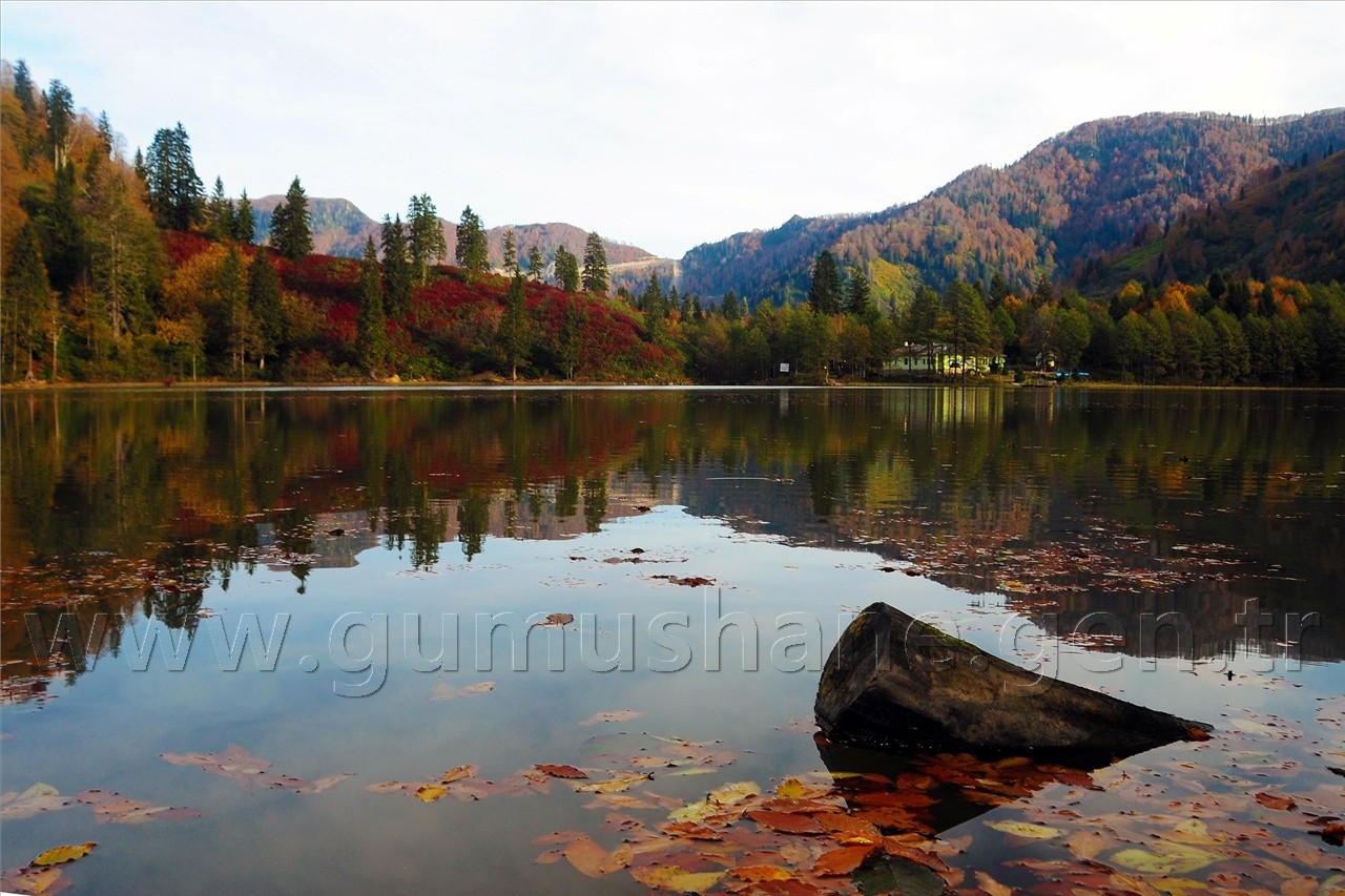 Gümüşhaneli Dağcılar Karagöl'de Kamp Kurdu 3