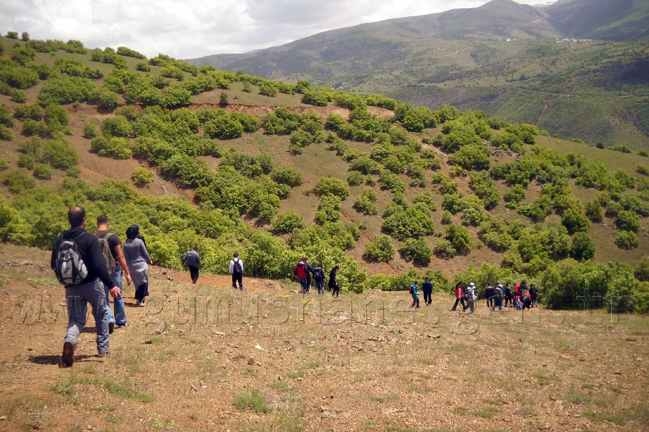 Gümüşhaneli Dağcılar Tomara'da 10