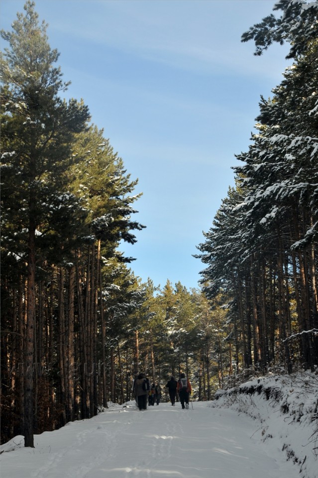 Gümüşhaneli Dağcılar Kelkit'te Yürüyüş Düzenledi 4